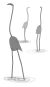 flamingos.gif
